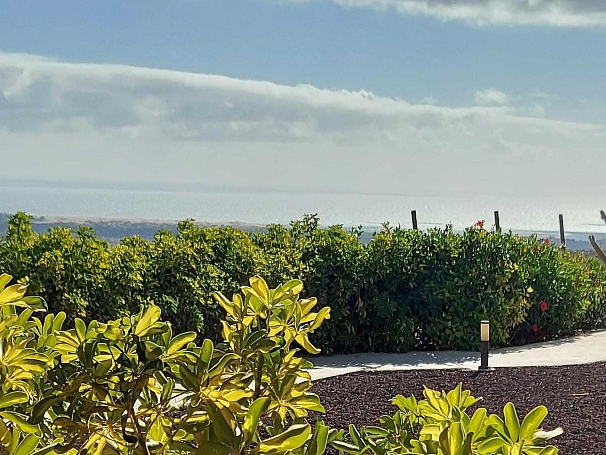 The Black Horse Canarias - Adults Only Maspalomas  Kamer foto