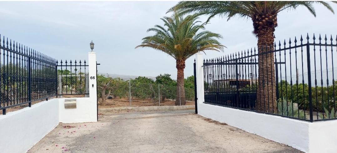 The Black Horse Canarias - Adults Only Maspalomas  Kamer foto
